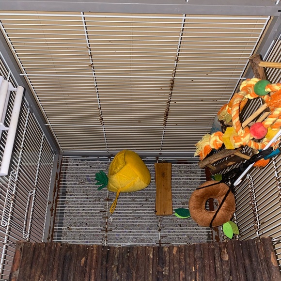 Bird “House” - Picture 3 of 5